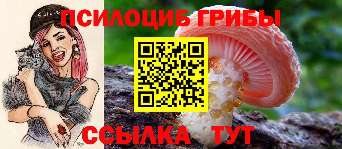 Галлюциногенные грибы Cubensis  Вход с VPN  Псилоцибиновые грибы прущие грибы  Красноармейск 